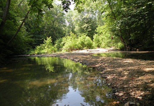 Gladie Creek, Red River Gorge